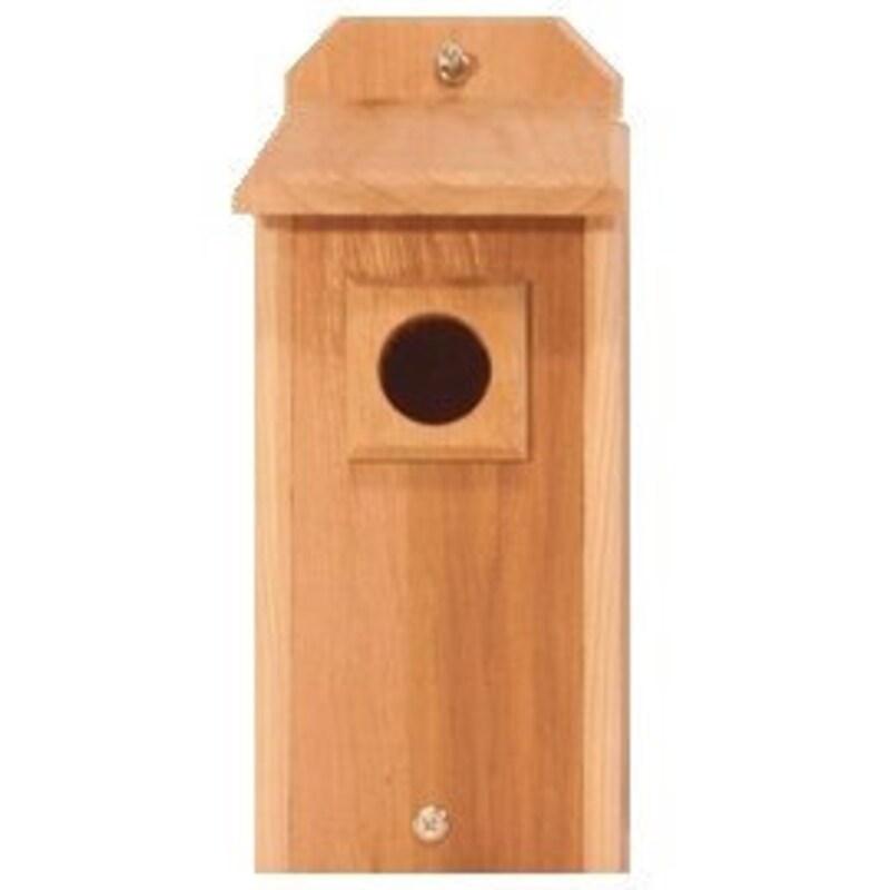 Bird House With Camera Etsy Bird house with camera etsy