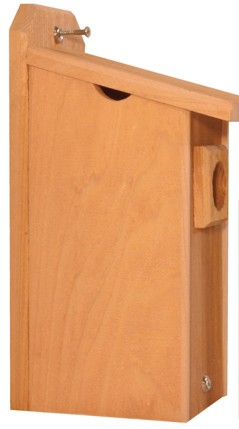 2 Cedar Bluebird Houses Bird Houses image 5