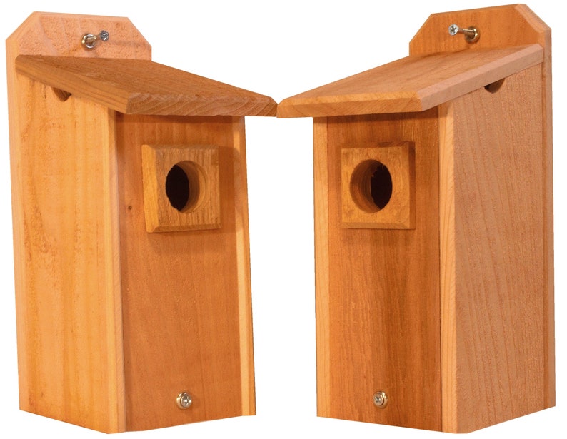 2 Cedar Bluebird Houses Bird Houses image 6