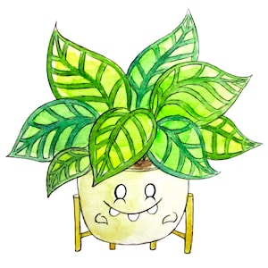 Houseplant 8x10 Print