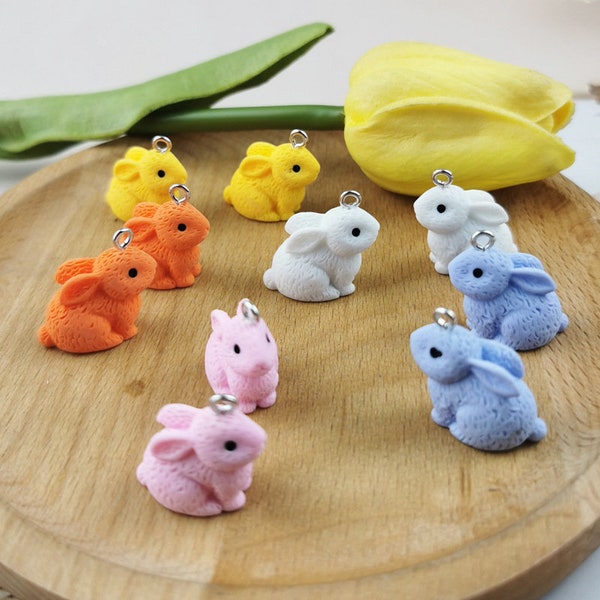 10PCS Animal bunny Charms,Resin Charm Pendant,Plastic Charms, Necklace Charms,Jewelry Charms for Earring Making,Necklace Making