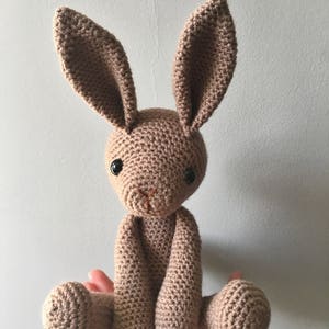 Basil the hare amigurumi crochet toy doll image 5