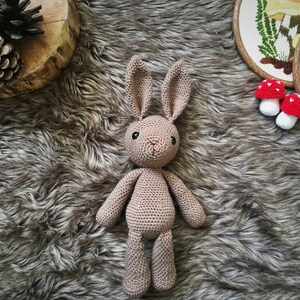 Basil the hare amigurumi crochet toy doll image 2
