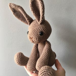 Basil the hare amigurumi crochet toy doll image 3