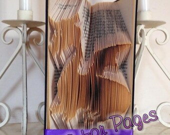 Book folding pattern for a DRAGON