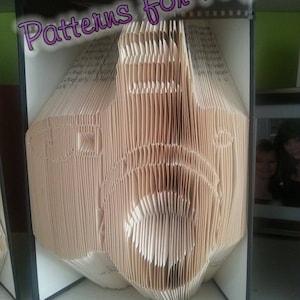 Book folding pattern for a CAMERA