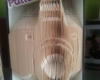 Book folding pattern for a CAMERA