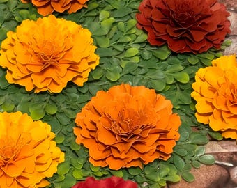 Ringelblumen Blumen•Cempasuchil Blumen•DIY Projekt•Fiesta Blumen•Hausdekoration•Herbst Dekor