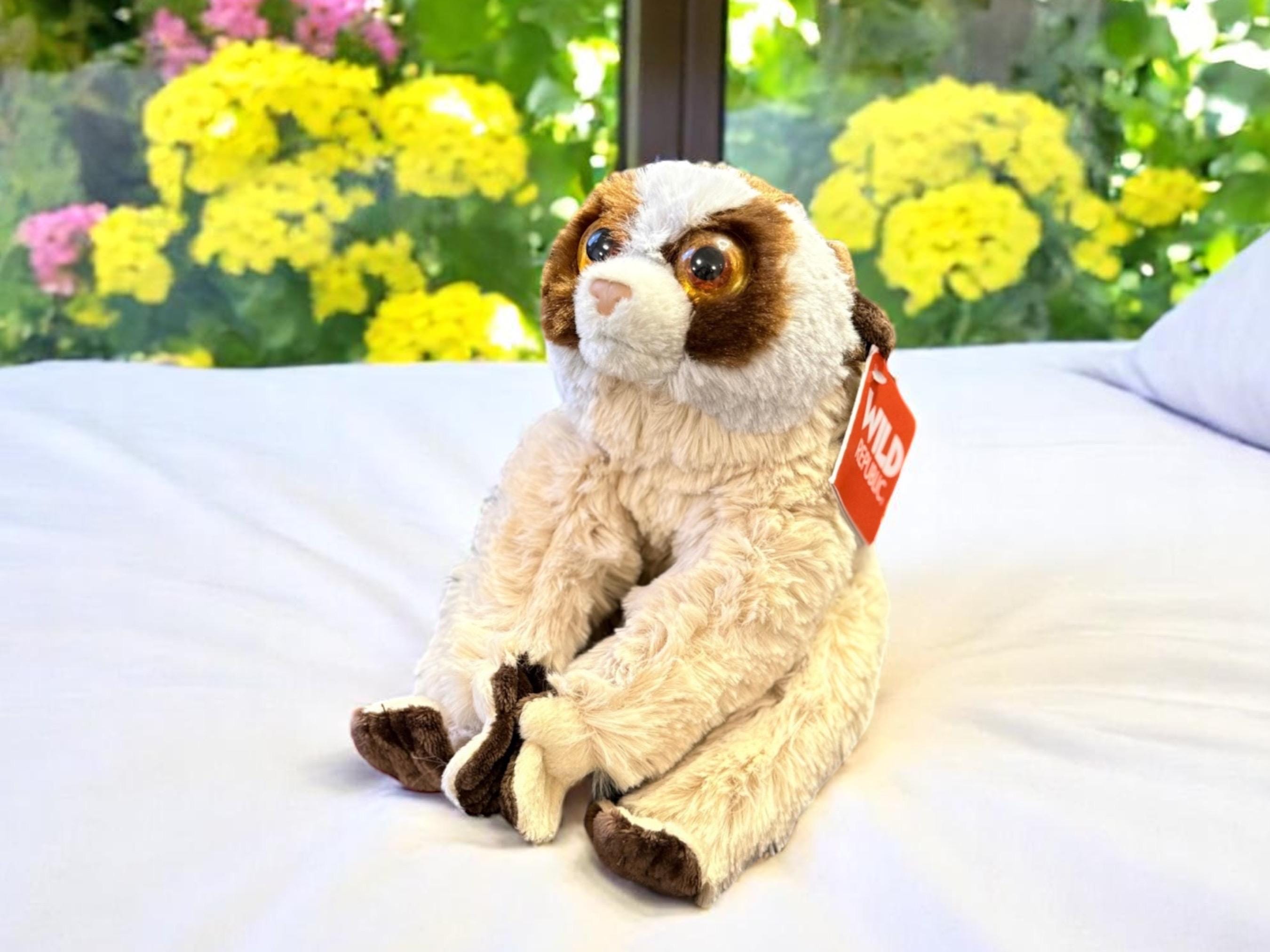 ロージーモンスター　teddy boavest 20 In. World's Coziest Bear – Vermont Teddy Bear