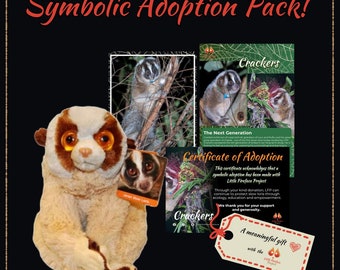 Slow Loris Plush Plushie Cuddly Toy Teddy and Adoption Supporting Wild Slow Loris Conservation