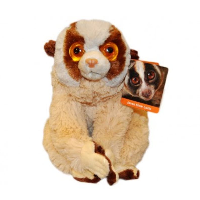 Slow Loris Plush Plushie Cuddly Toy Teddy image 1