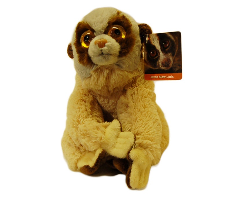 Slow Loris Plush Plushie Cuddly Toy Teddy image 2
