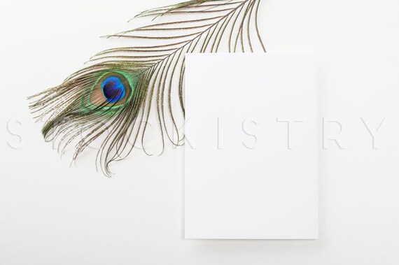 Blank Card W Peacock Feather Styled Stock Photography Branding Blank Card W Peacock Feather Styled Stock Photography Branding