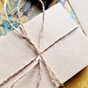 May include: A brown paper envelope tied with natural twine string.