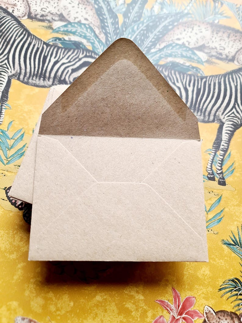 May include: A brown paper envelope with a white interior. The envelope is folded and ready to be sealed.