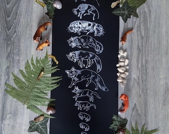 From Stardust To Stardust satin photo print Poster     -   Circle of Life  Fox Thylacine Coyote Wolf Jaguar Leopard  Pitbull Wall Art