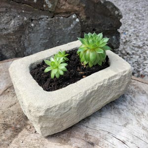 Stone trough garden planter small size for  sempervivum alpine succulents