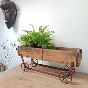 May include: A vintage wooden planter on wheels, filled with lush green ferns. The planter is rectangular with metal detailing and small, rusty wheels. The background features a white wall and a wooden table.