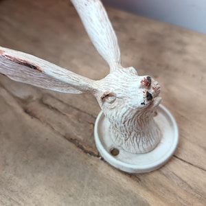 May include: A white and brown rabbit head door pull. The rabbit head is mounted on a circular base with screw holes. The ears are long and extend upwards. The door pull is made of a textured material.