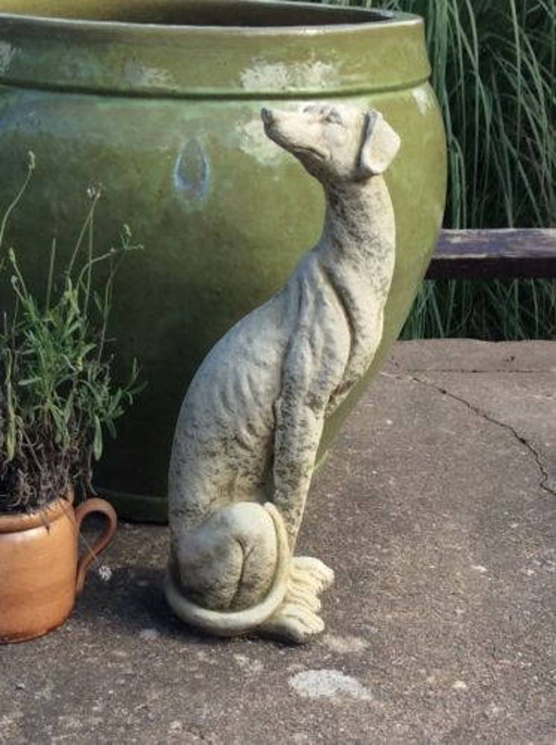 Stone Garden Ornament Sitting Lurcher grey Dog Figure Ornament Etsy