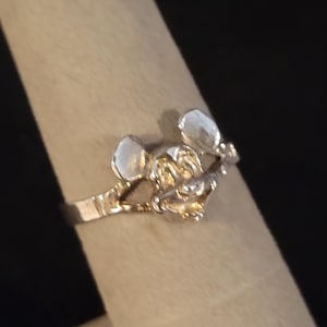 Puede incluir: Un anillo plateado con un dise&ntilde;o de rat&oacute;n estilizado. El anillo tiene una banda fina, y la cabeza y las orejas del rat&oacute;n son claramente visibles. El anillo probablemente est&aacute; hecho de una aleaci&oacute;n de metal y es adecuado para el uso diario.