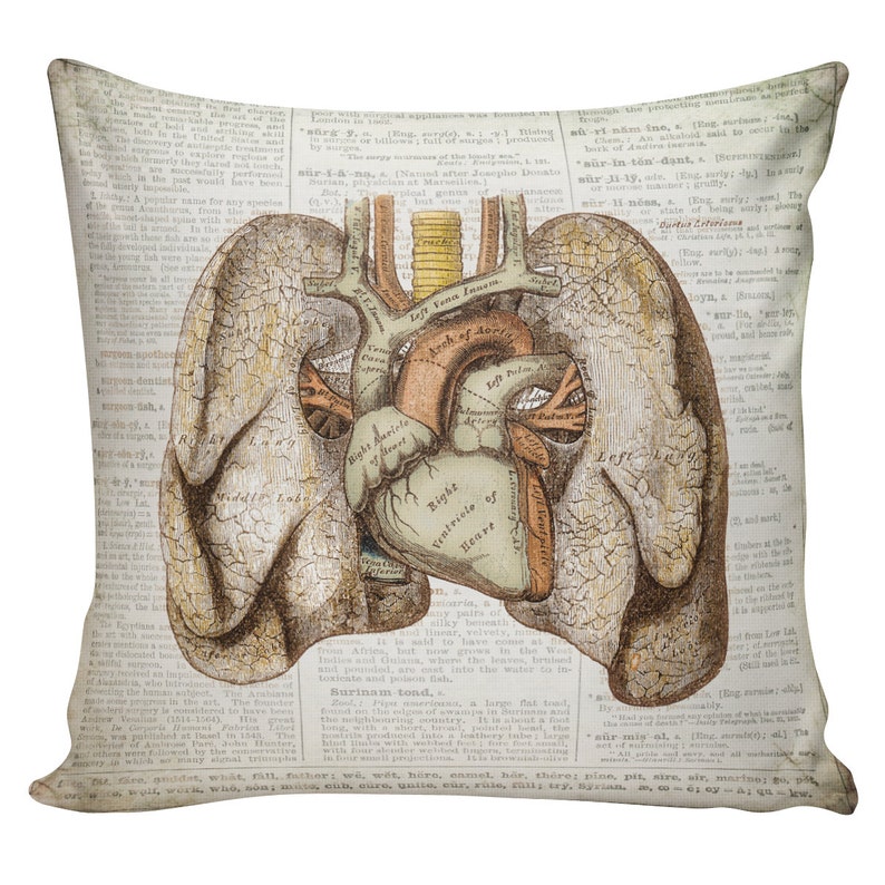 Cushion Pillow Halloween Grey/'s Anatomy Lungs Cotton and Burlap #RQ0017 RavenQuoth All Hallow/'s Eve Home Decor