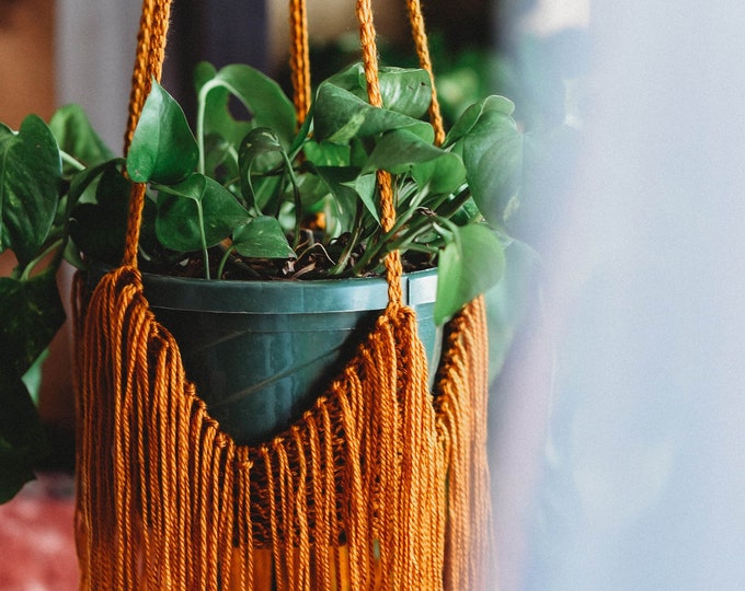 Featured listing image: Fringe Plant Holders | Hanging Planters | Crochet Home Decor | Hanging Pot Holders for Plants and Gardening  | Indoor Garden Decor