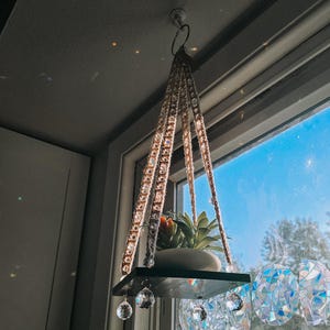 Puede incluir: Una estantería colgante de macramé con una base de madera oscura y detalles de cristal transparente. La estantería contiene una pequeña planta suculenta en maceta. El colgador de macramé está suspendido del techo, cerca de una ventana.