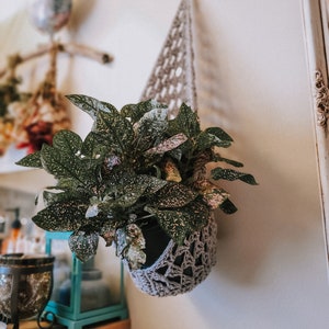 Wall Plant Holders | Hanging Planters | Crochet Home Decor | Hanging Pot Holders for Plants and Gardening  | Indoor Garden Decor