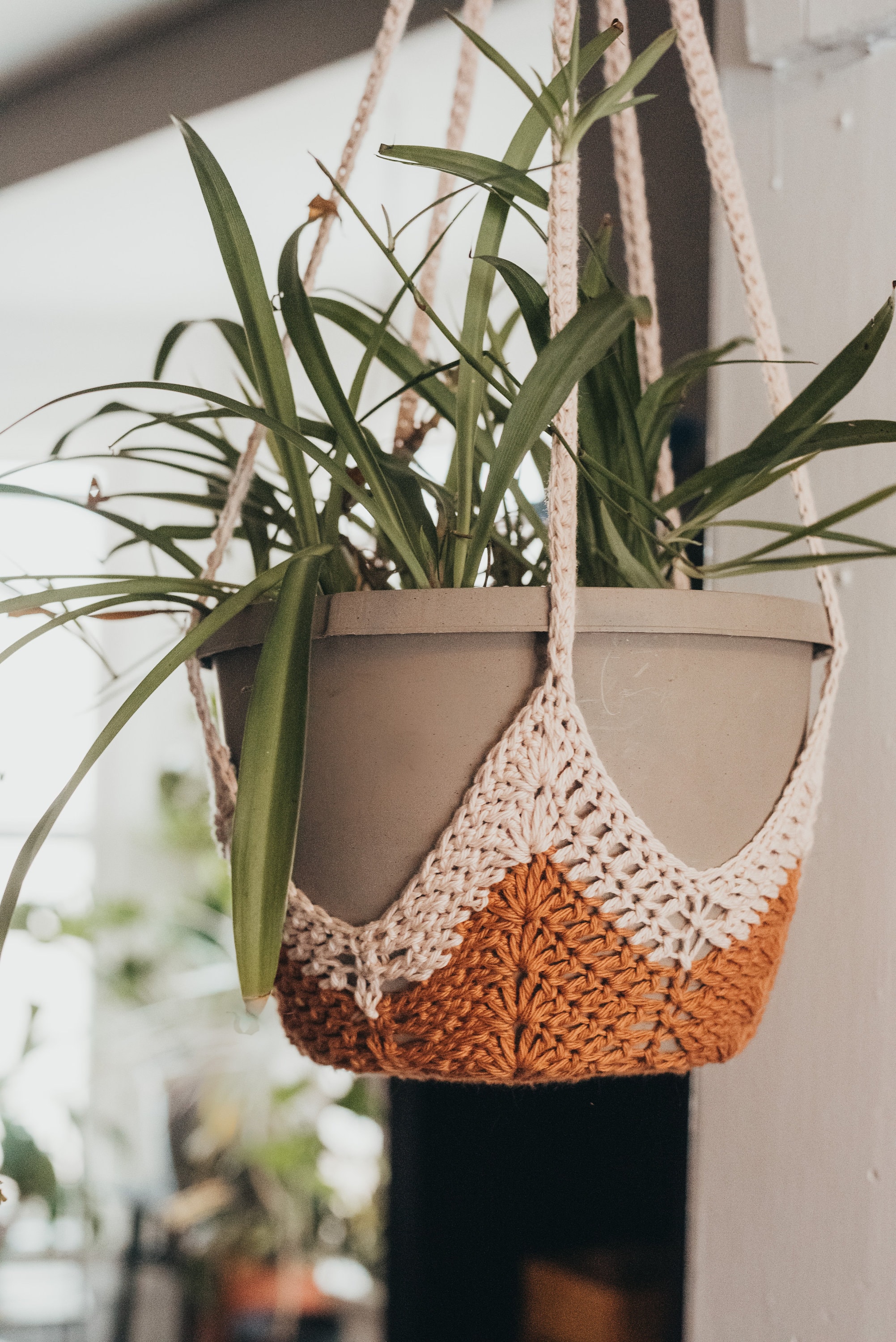 Crochet Kit For Beginners Hanging Potted Plants Crochet - Temu