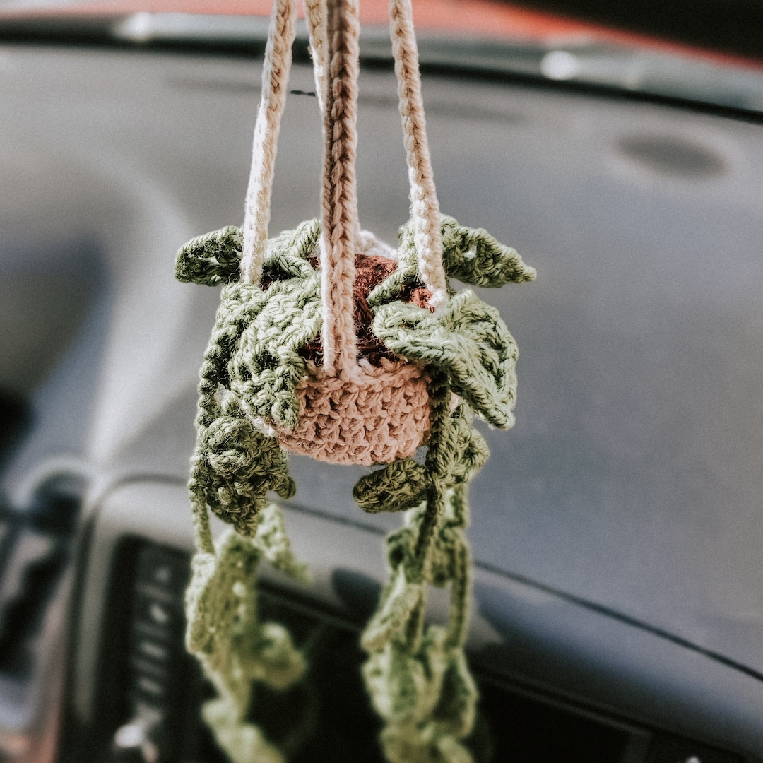 Car Rearview Mirror Hanging Plant Hanging Pothos Plant Gift Plant
