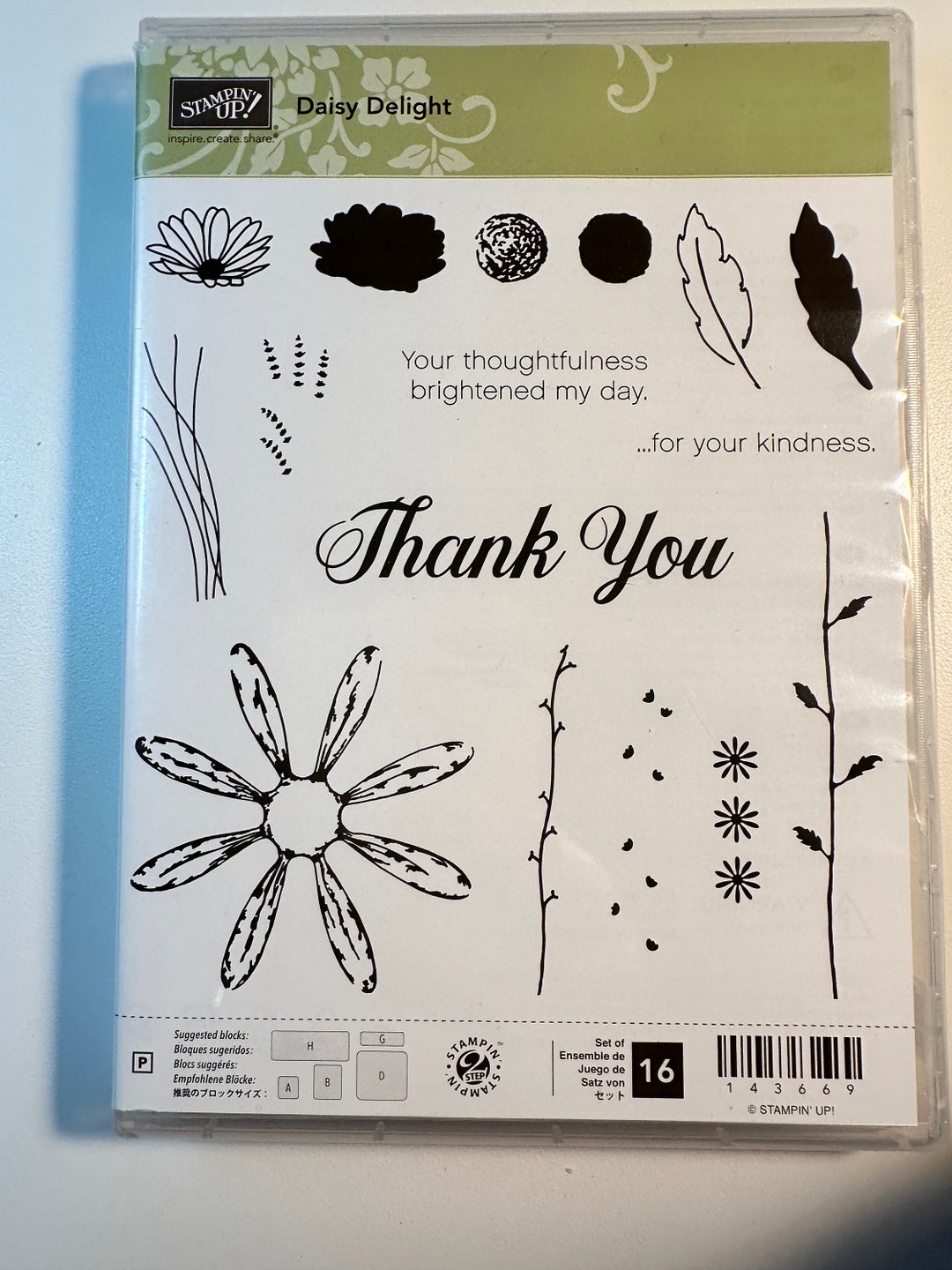 Stampin up "daisy Delight" Stamp Set - Etsy