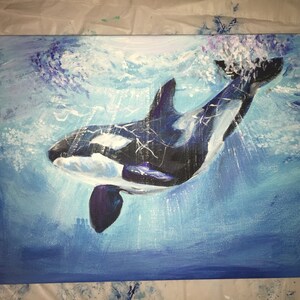 Splash!