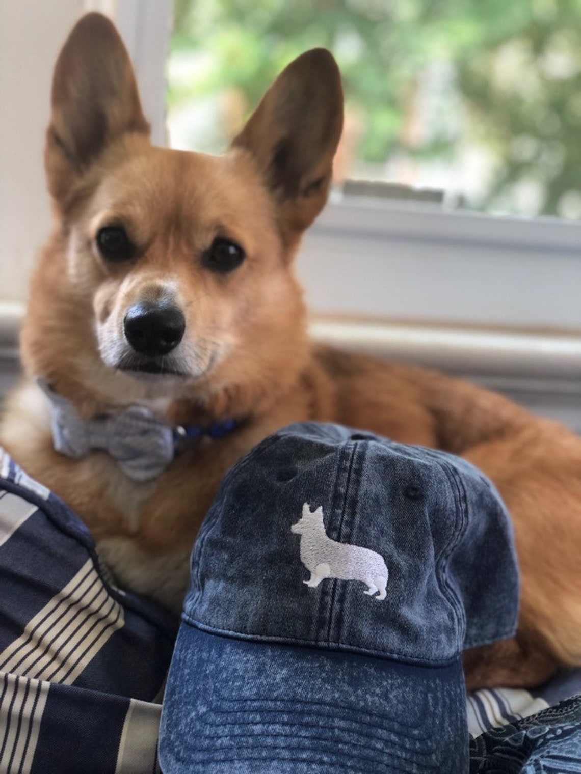 Corgi cap Clearance