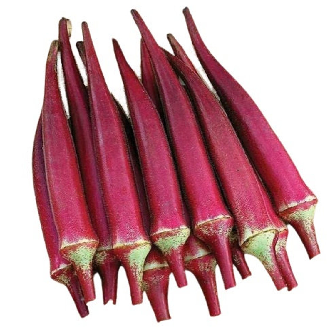 Red Okra 10 seeds / 1 g Etsy