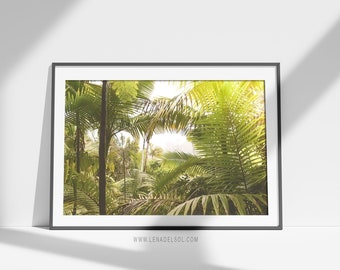 Impresión tropical - Arte de pared de Puerto Rico - Arte de pared con impresión tropical - Impresión grande para sala de estar - Fotografía tropical - Puerto Rico