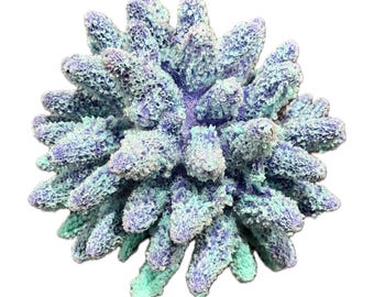 Gemme Acropora Koralle - Kunstkoralle für Aquarium-Dekoration - #99