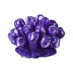 May include: A cluster of artificial coral in shades of purple and white. The coral has a textured surface and a rounded shape with multiple openings. The overall appearance is detailed and realistic, suitable for decorative purposes.