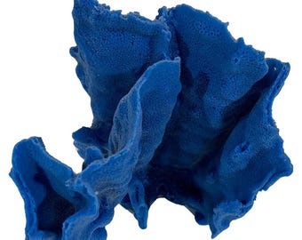 Blaue Ridge-Koralle – Künstliche Koralle für Fisch- und Aquarium Dekor #522