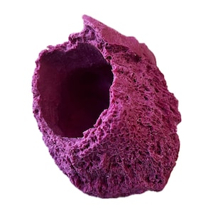 Aquarium safe MAGNETIC Large Barnacle Hideout for fish/critter hangout!!