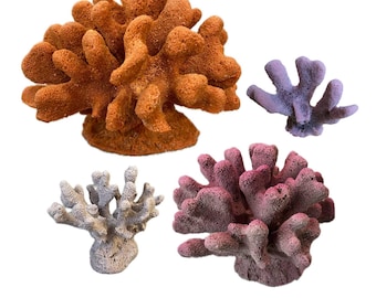 Keulenkoralle - Künstliche Koralle für Fischbecken & Aquarium