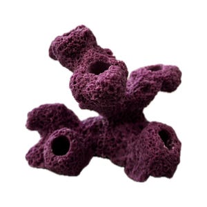 May include: A purple artificial coral reef decoration with multiple openings. The coral has a porous texture and is designed to mimic natural coral formations. Ideal for aquarium or terrarium decor.