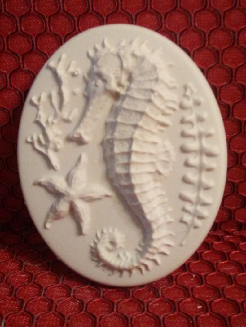 Ready to Paint Seahorse Plaster Shapes /& Blanks Plaster Ornaments Diy Plaster Plastercrafts Chalkware Ornaments Diy Kids Crafts Fish