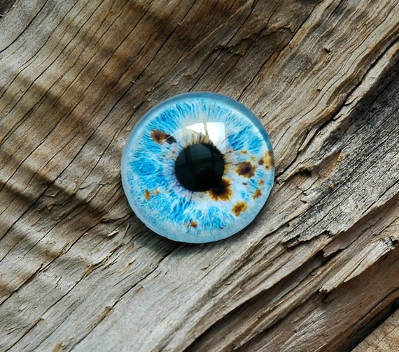 Glass Eyes Blue With Brown Spots Glass Eye Pair Eyes for Crafts and Dolls  Round Pupil Eyes Critter Eyes Fantasy Eyes One Pair 