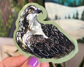 Osprey Vinyl Sticker, Raptor Art Decal