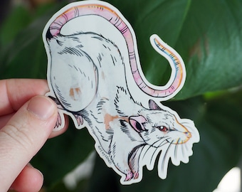 Albino Rat Vinyl Sticker, Original Art, Rat Lovers