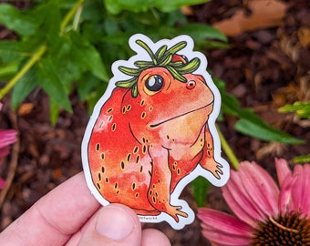 Smol Strawberry Frog Vinyl Sticker