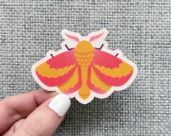 Rosy Maple Moth Sticker: Colorful Botanical Insect Water-Resistant Vinyl Decal for Laptop, Water Bottle, Notebook