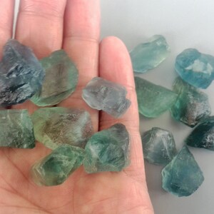 May include: A collection of green and blue fluorite crystals, some with a slight purple hue, on a hand. The crystals are various sizes and shapes, with some being more opaque than others.