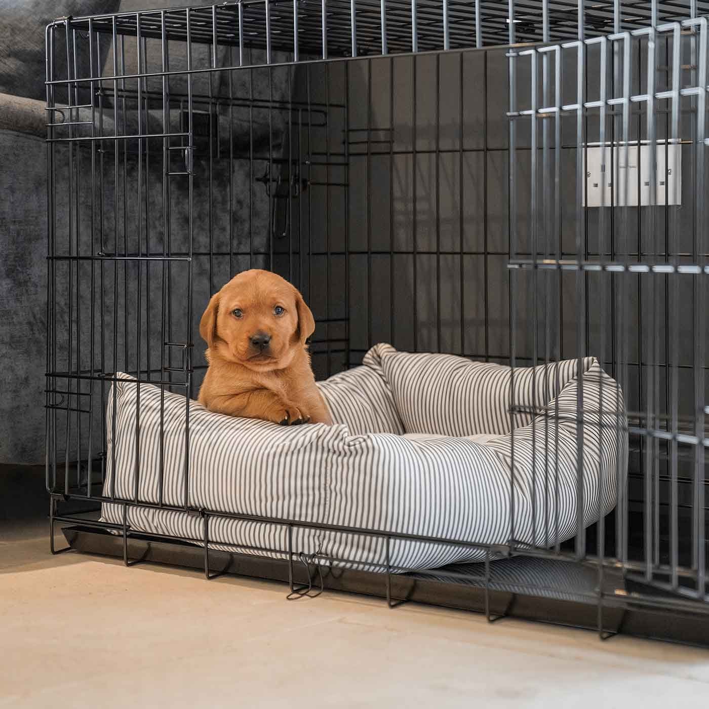 Les 4 meilleures cages pour chien [Guide 2023] - métal, avion